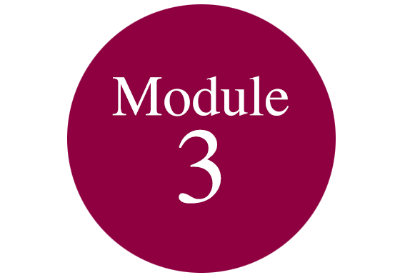 module3